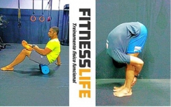 FITNESS LIFE